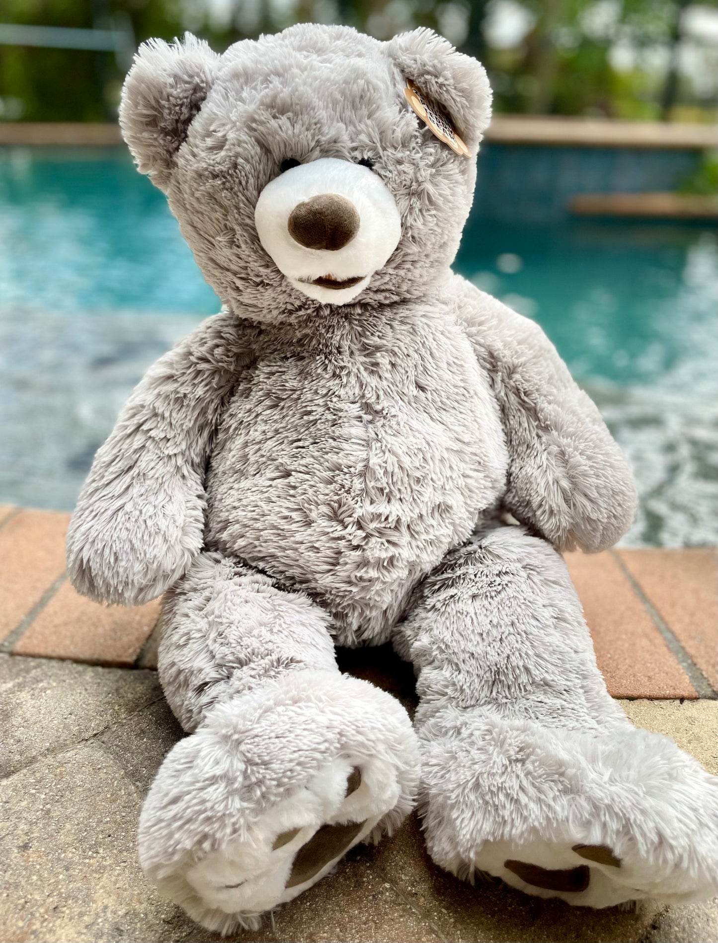 XLarge Stuffed Animal Friend with Get Well arm sling- variety