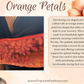 Arm Sling | Orange Embroidered Petals Arm Sling with Padded Adjustable Strap