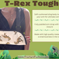 Écharpe de bras | Écharpe de bras robuste T-Rex