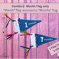 Pennant | Pom Pom Baby Monthly Milestone Pennant, Denim Flag, Photo prop