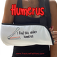 Arm Sling | Humerus Padded Arm Sling