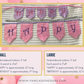Bunting | Pastel Sequins Birthday Banner: Sparkle Party Flags
