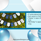 Bunting | Exquisite Durable Canvas Birthday Banner Bunting with Vibrant Embroidered Letters