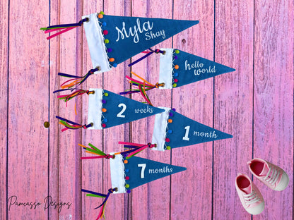 Pennant | Pom Pom Baby Monthly Milestone Pennant, Denim Flag, Photo prop