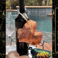Sequins Puffy Elegant Hearts, Ornaments - Black and Golds