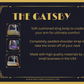 Arm Sling | The Gatsby Flapper Sequins Fashion Arm Sling