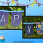 Bunting | Customizable Heavy Duty Canvas Happy Birthday Bunting with Embroidered Letters Interchangeable Theme Panels