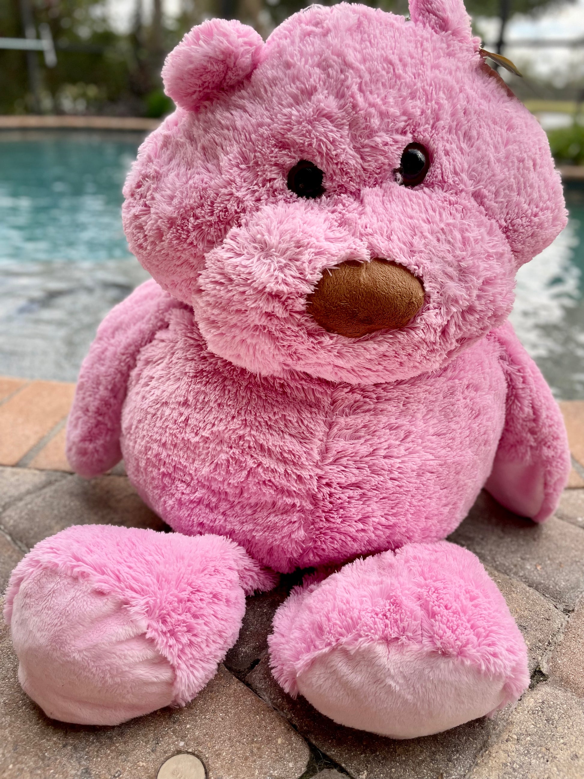 Animal adventure best sale pink bear